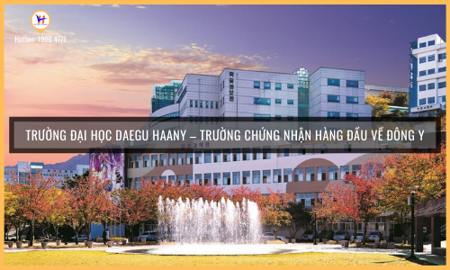 Đại học Daegu Haany Hàn Quốc