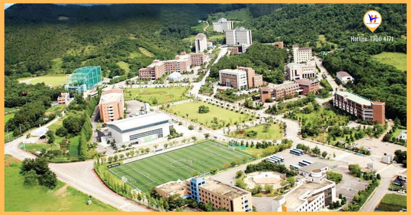 Đại học Howon Hàn Quốc