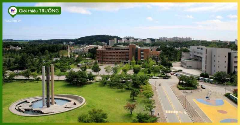 Gangneung national university