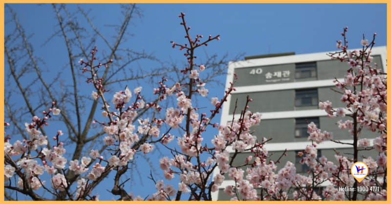 Đại học Ajou Hàn Quốc