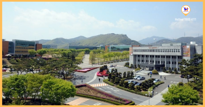 Đại học Công giáo Daegu Hàn Quốc